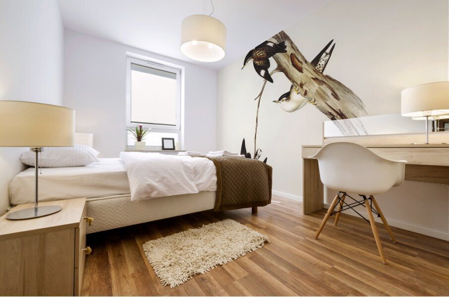 White-breasted Zosterops Zosterops albogularis illustrated by Elizabeth Gould 1804–1841 for John Gould’s 1804-1881 Birds of Australia  Mural print