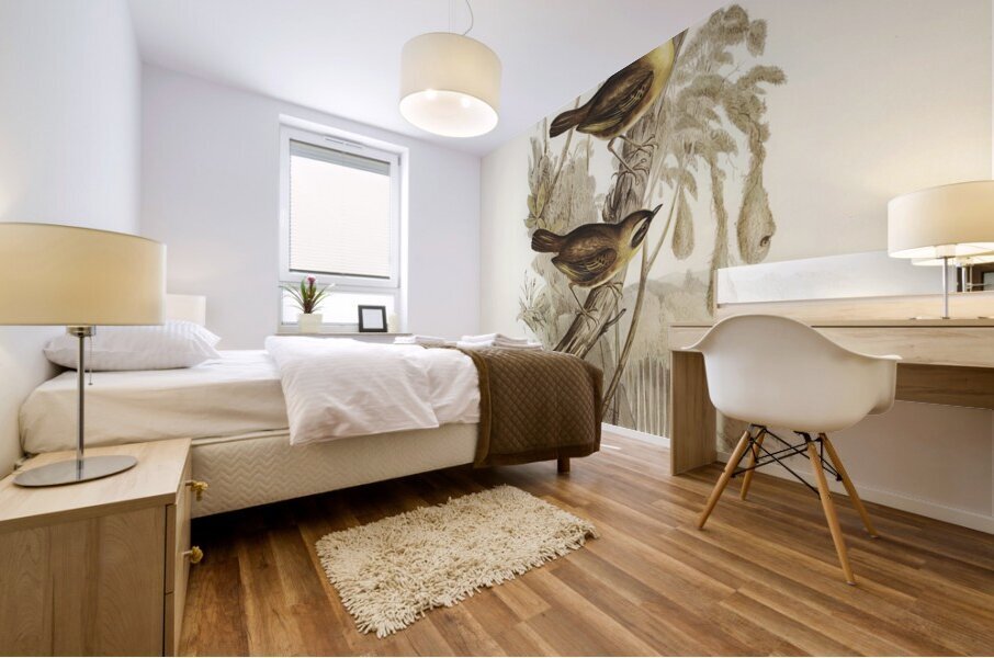 Yellow-throated Sericornis Sericornis citreogularis illustrated by Elizabeth Gould 1804–1841 for John Gould’s 1804-1881 Birds of Australia  Mural print