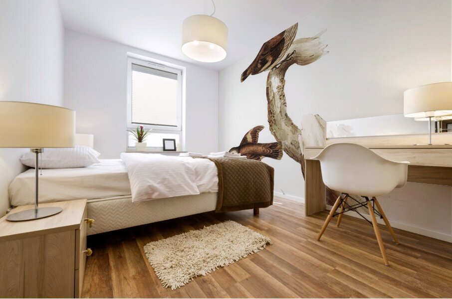 Brown Tree-Creeper Climacteris scandens illustrated by Elizabeth Gould 1804–1841 for John Gould’s 1804-1881 Birds of Australia  Mural print