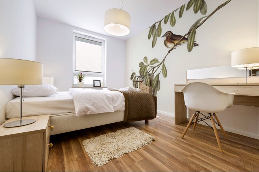 White-throated Honey-eater Entomophila albogularis illustrated by Elizabeth Gould 1804–1841 for John Gould’s 1804-1881 Birds of Australia  Mural print