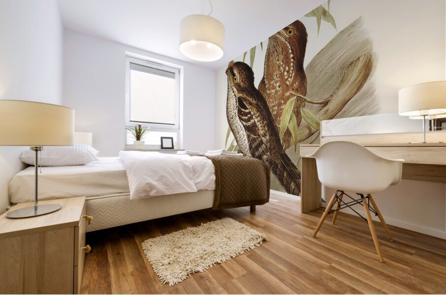 Marbled Podargus Podargus marmoratus illustrated by Elizabeth Gould 1804–1841 for John Gould’s 1804-1881 Birds of Australia  Mural print