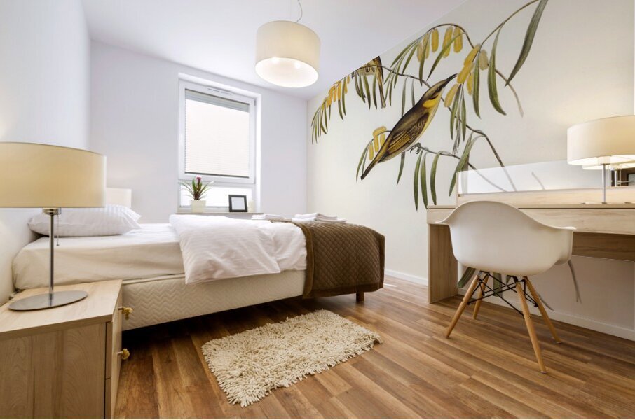 Plumed Honey-eater Ptilotis plumulus illustrated by Elizabeth Gould 1804–1841 for John Gould’s 1804-1881 Birds of Australia  Mural print