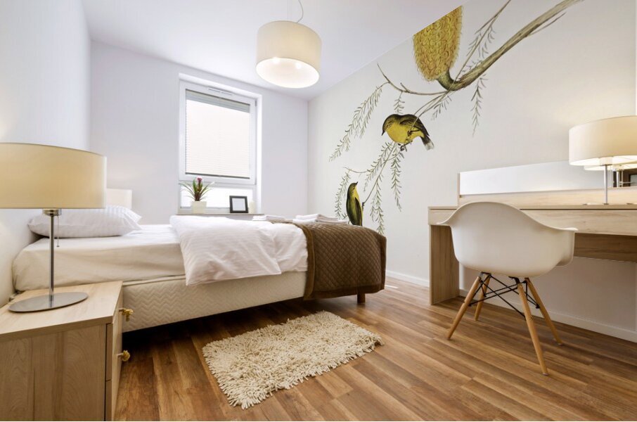 Little Acanthiza Acanthiza nana illustrated by Elizabeth Gould 1804–1841 for John Gould’s 1804-1881 Birds of Australia  Mural print