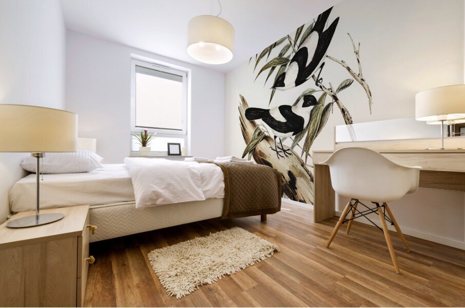 Kaups Flycatcher Arses Kaupi illustrated by Elizabeth Gould 1804–1841 for John Gould’s 1804-1881 Birds of Australia  Mural print