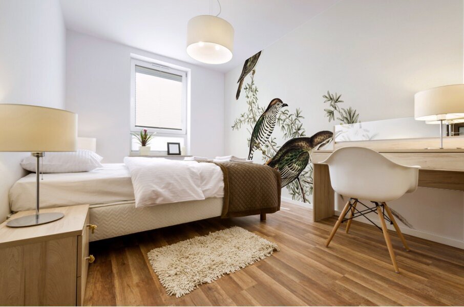 Shining Cuckoo Chrysococcyx lucidus illustrated by Elizabeth Gould 1804–1841 for John Gould’s 1804-1881 Birds of Australia  Mural print