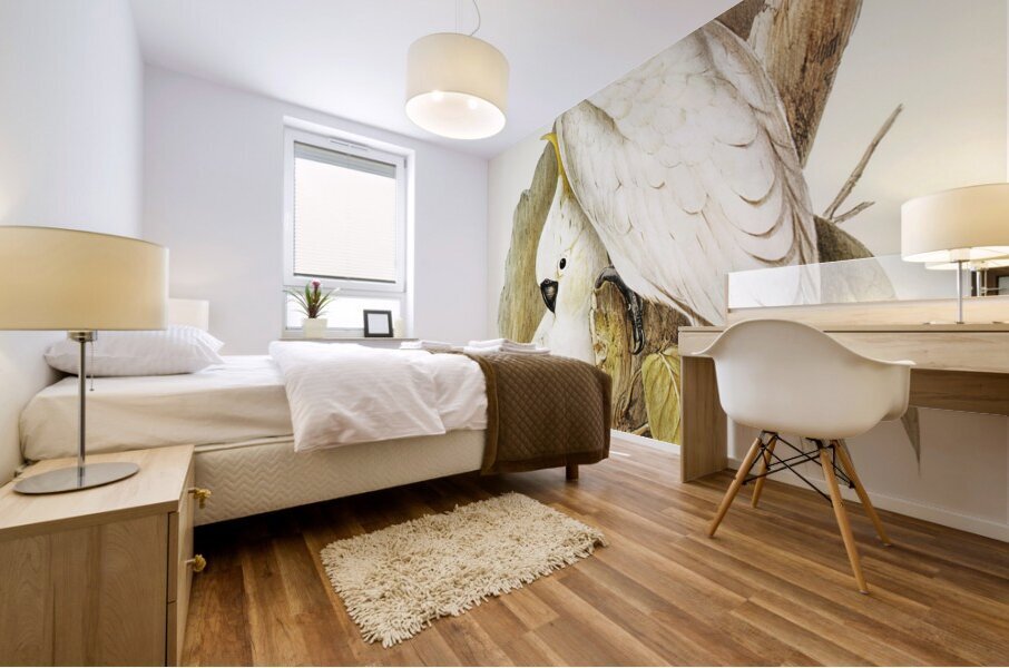 Crested Cockatoo Cacatua galerita illustrated by Elizabeth Gould 1804–1841 for John Gould’s 1804-1881 Birds of Australia  Mural print