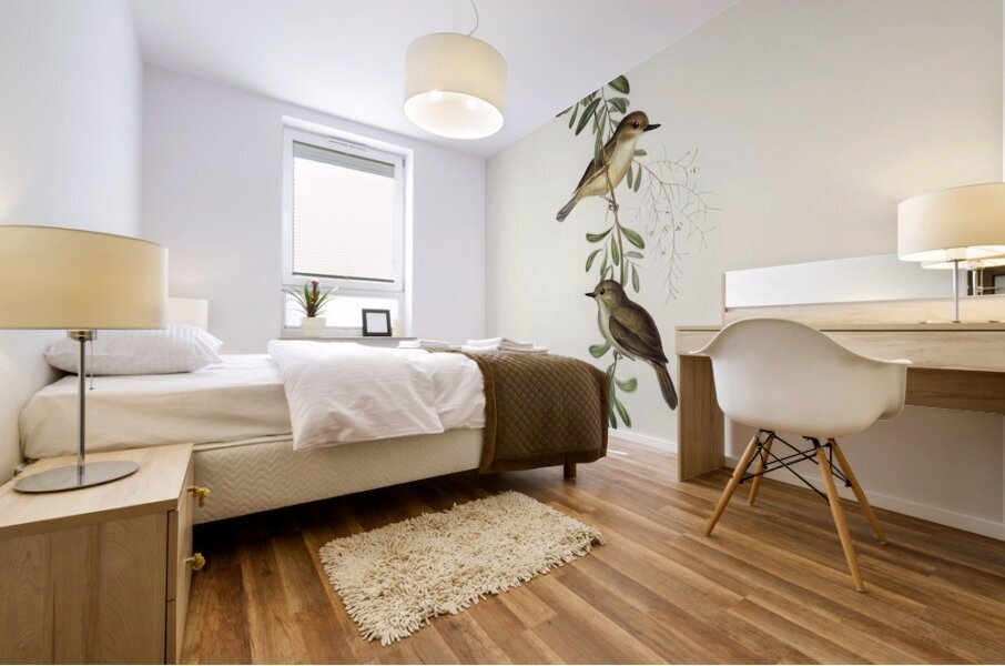 Large-billed Sericornis Sericornis magnirostris illustrated by Elizabeth Gould 1804–1841 for John Gould’s 1804-1881 Birds of Australia  Mural print