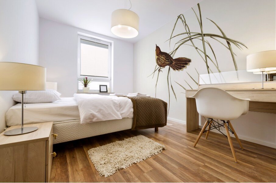 Large-billed Sericornis Sericornis magnirostris illustrated by Elizabeth Gould 1804–1841 for John Gould’s 1804-1881 Birds of Australia  Mural print