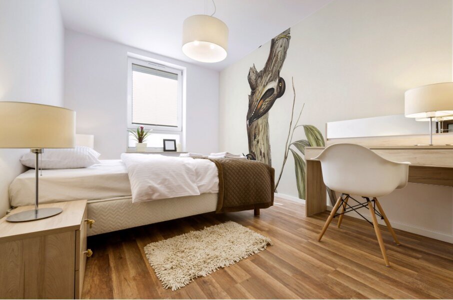 Orange-winged Sittella Sittella chrysoptera illustrated by Elizabeth Gould 1804–1841 for John Gould’s 1804-1881 Birds of Australia  Mural print