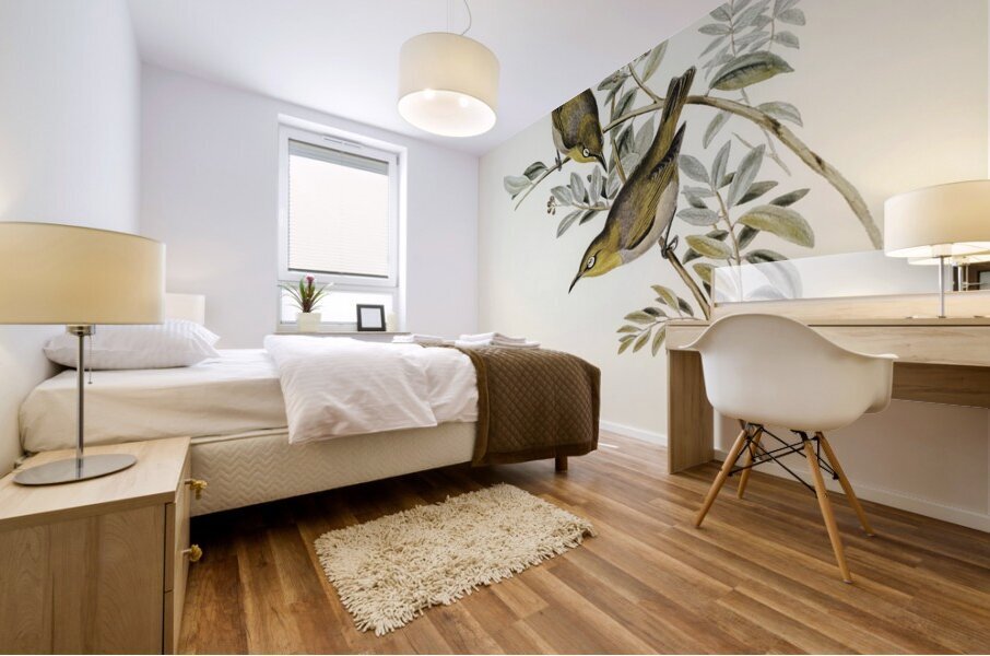 Robust Zosterops Zosterops strenuus illustrated by Elizabeth Gould 1804–1841 for John Gould’s 1804-1881 Birds of Australia  Mural print