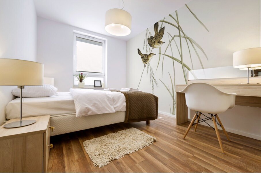 Lineated Warbler Cysticola lineocapilla illustrated by Elizabeth Gould 1804–1841 for John Gould’s 1804-1881 Birds of Australia  Mural print