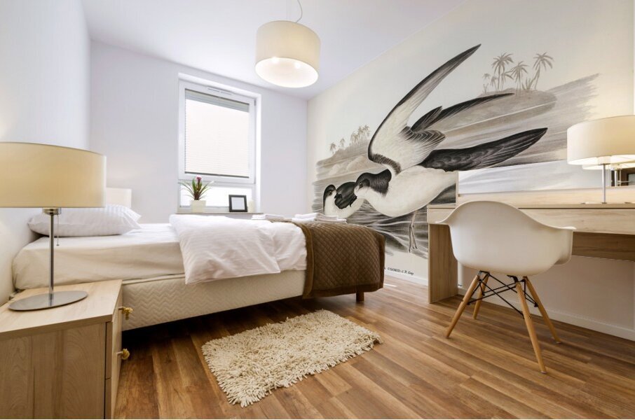 Cooks Petrel Procellaria Cookii illustrated by Elizabeth Gould 1804–1841 for John Gould’s 1804-1881 Birds of Australia  Mural print