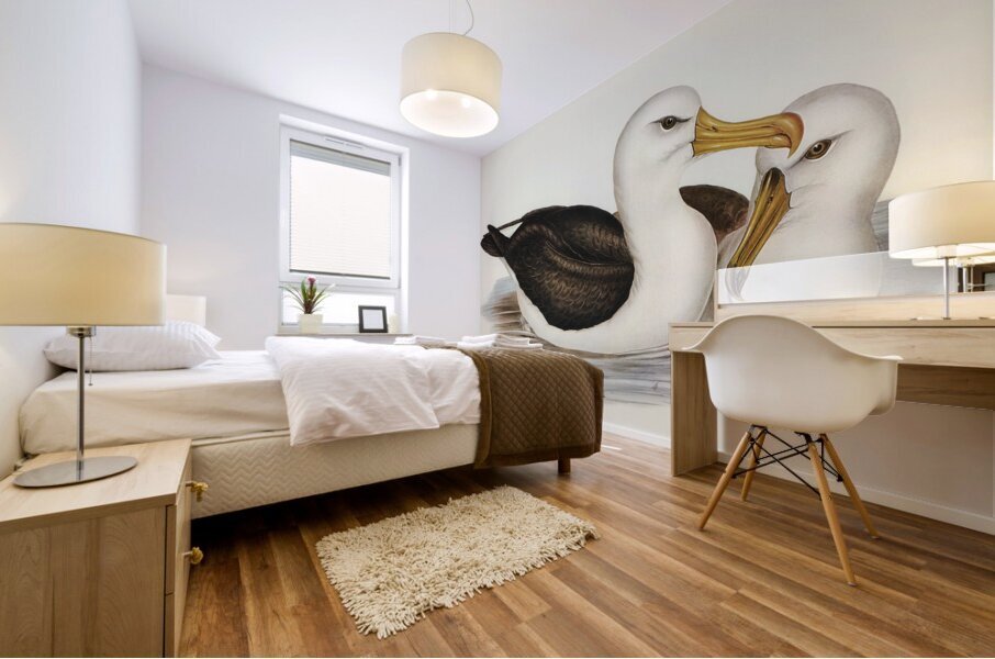 Black-eyebrowed Albatros Diomedea melanophrys illustrated by Elizabeth Gould 1804–1841 for John Gould’s 1804-1881 Birds of Australia  Mural print