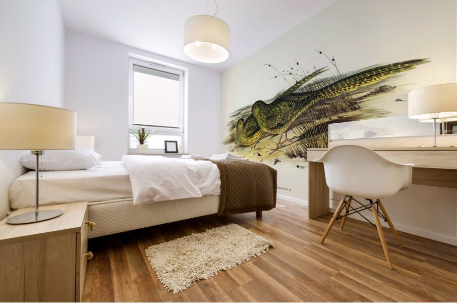 Ground Parakeet Pezoporus formosus illustrated by Elizabeth Gould 1804–1841 for John Gould’s 1804-1881 Birds of Australia  Mural print