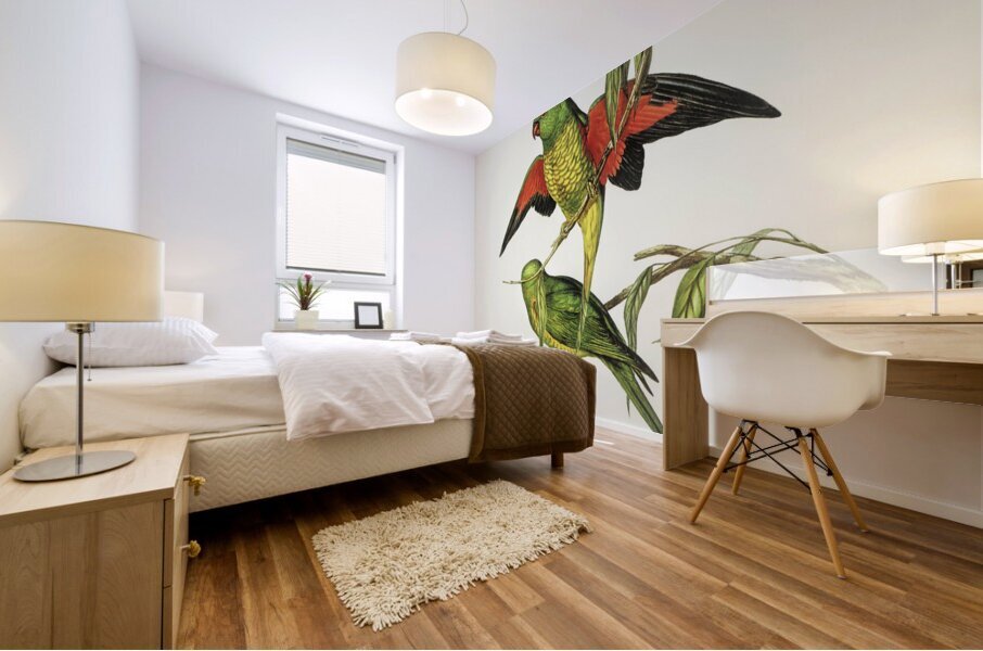 Scaly-breasted Lorikeet Trichoglossus chlorolepidotus illustrated by Elizabeth Gould 1804–1841 for John Gould’s 1804-1881 Birds of Australia  Mural print