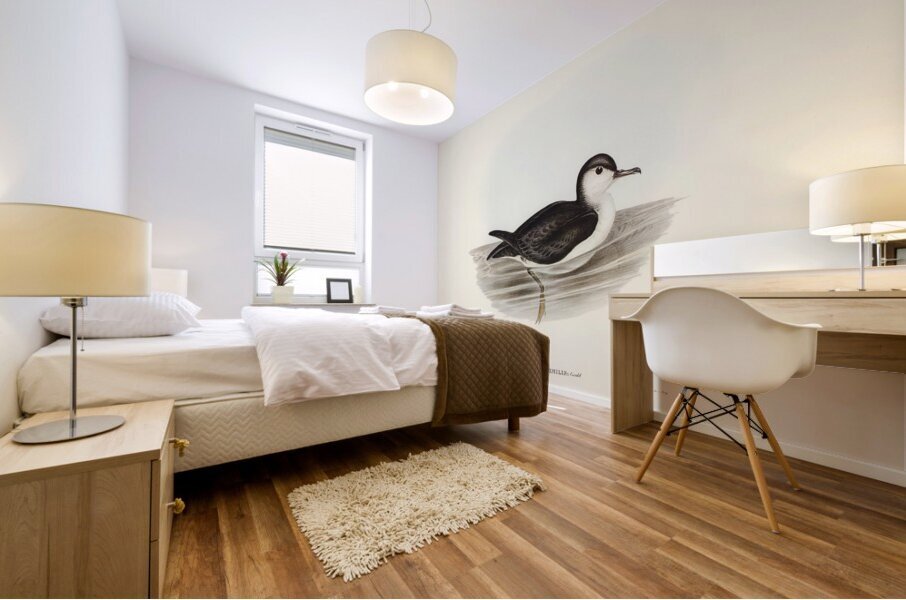 Allied Petrel Puffinus assimilis illustrated by Elizabeth Gould 1804–1841 for John Gould’s 1804-1881 Birds of Australia  Mural print