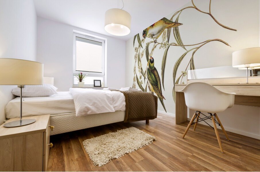 Little Whimbrel Numenius minutus illustrated by Elizabeth Gould 1804–1841 for John Gould’s 1804-1881 Birds of Australia  Mural print