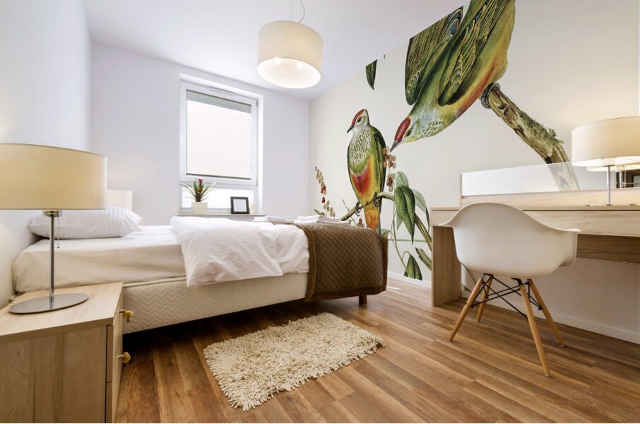 Swainsons Fruit Pigeon Ptilinopus Swainsonii illustrated by Elizabeth Gould 1804–1841 for John Gould’s 1804-1881 Birds of Australia  Mural print