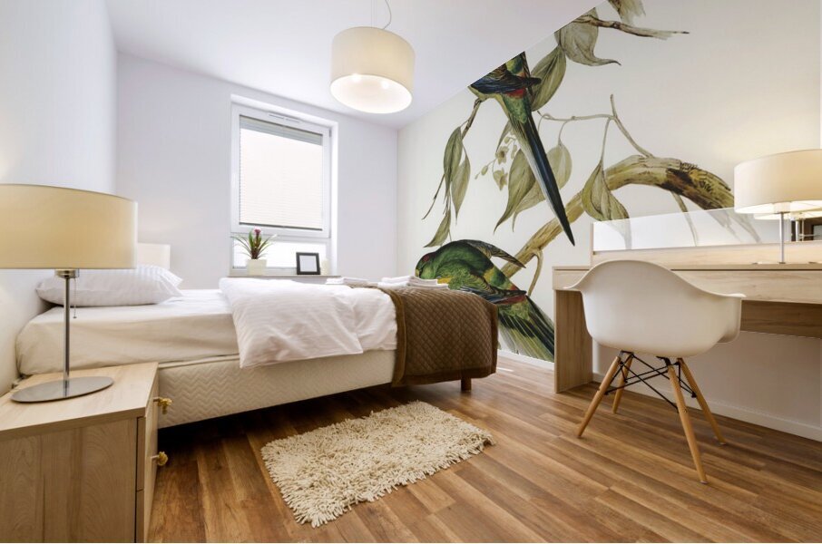 Many-coloured Parakeet Psephotus multicolor illustrated by Elizabeth Gould 1804–1841 for John Gould’s 1804-1881 Birds of Australia  Mural print