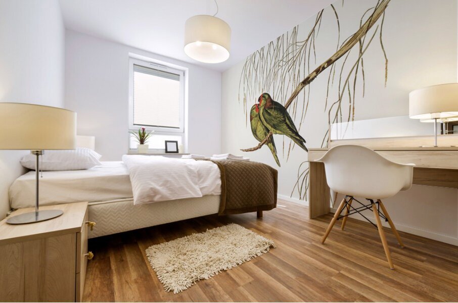 Little Lorikeet Trichoglossus pusillus illustrated by Elizabeth Gould 1804–1841 for John Gould’s 1804-1881 Birds of Australia  Mural print