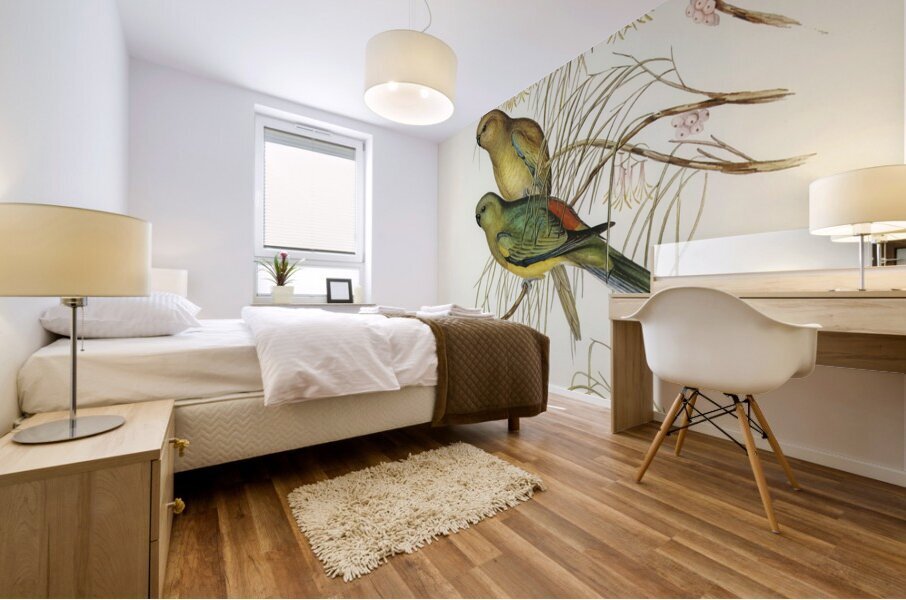 Red-backed Parakeet Psephotus haematonotus illustrated by Elizabeth Gould 1804–1841 for John Gould’s 1804-1881 Birds of Australia  Mural print