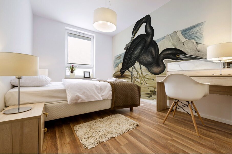 Blue Reef Heron Herodias jugularis illustrated by Elizabeth Gould 1804–1841 for John Gould’s 1804-1881 Birds of Australia  Mural print