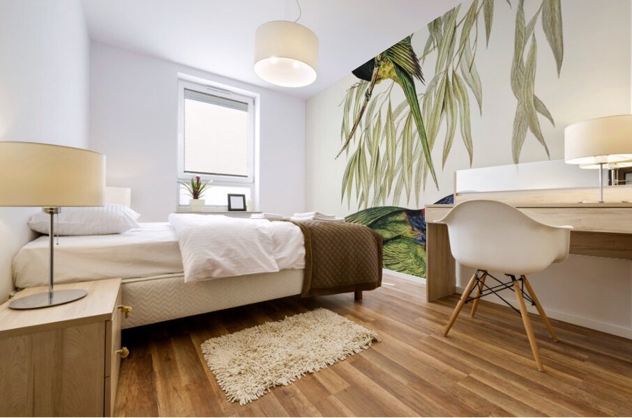 Red-collared Lorikeet Trichoglossus rubritorquis illustrated by Elizabeth Gould 1804–1841 for John Gould’s 1804-1881 Birds of Australia  Mural print