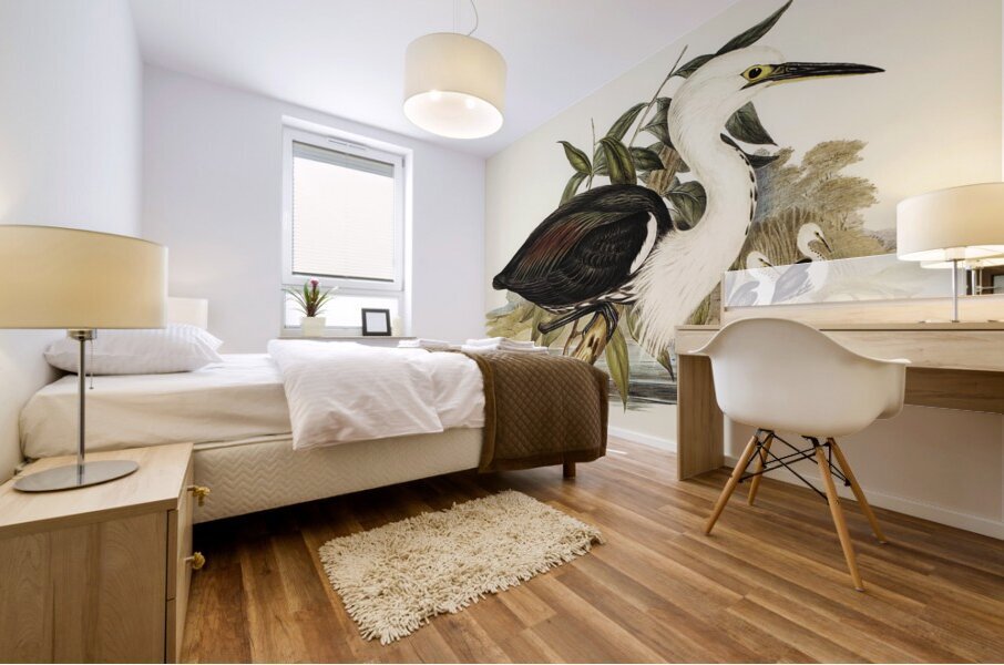 Pacific Heron Ardea pacifica illustrated by Elizabeth Gould 1804–1841 for John Gould’s 1804-1881 Birds of Australia  Impression murale