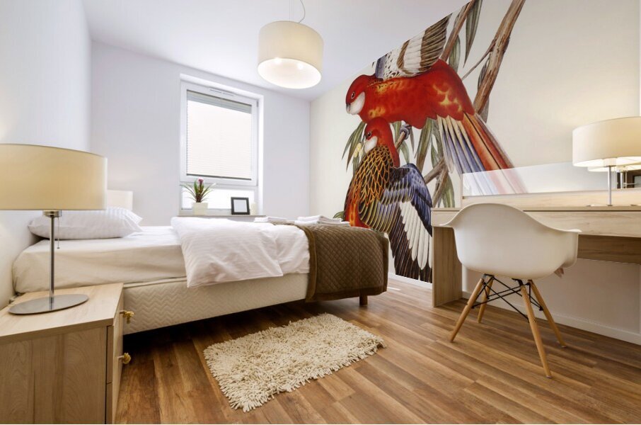 Fiery Parakeet Platycercus ignitus illustrated by Elizabeth Gould 1804–1841 for John Gould’s 1804-1881 Birds of Australia  Mural print