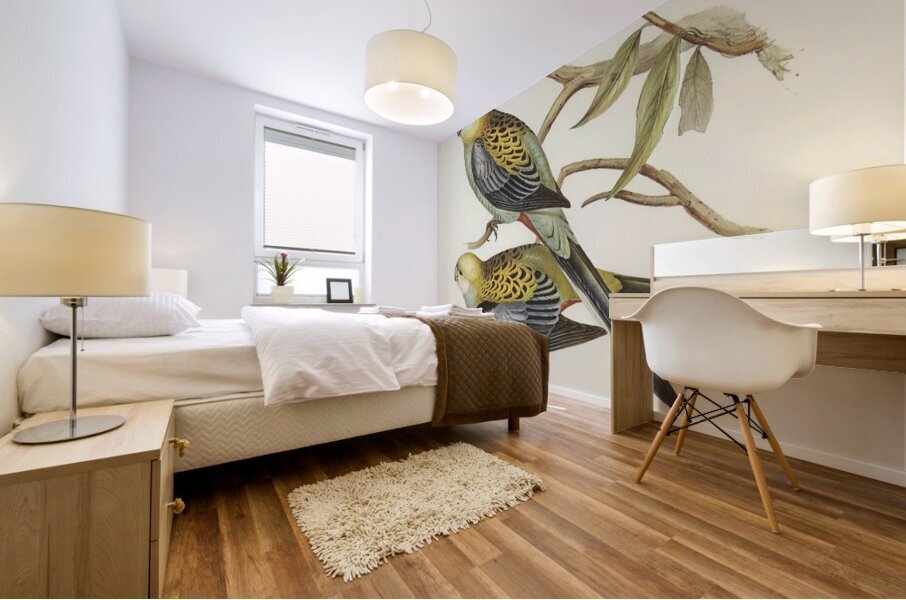 Pale-headed Parakeet Platycercus palliceps illustrated by Elizabeth Gould 1804–1841 for John Gould’s 1804-1881 Birds of Australia  Impression murale