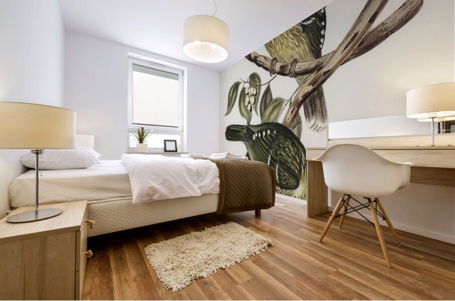 Cat Bird Ptilonorhynchus Smithii illustrated by Elizabeth Gould 1804–1841 for John Gould’s 1804-1881 Birds of Australia  Mural print