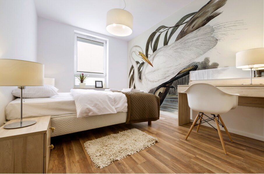 Australian Egret Hrodias syrmatophorus illustrated by Elizabeth Gould 1804–1841 for John Gould’s 1804-1881 Birds of Australia  Mural print