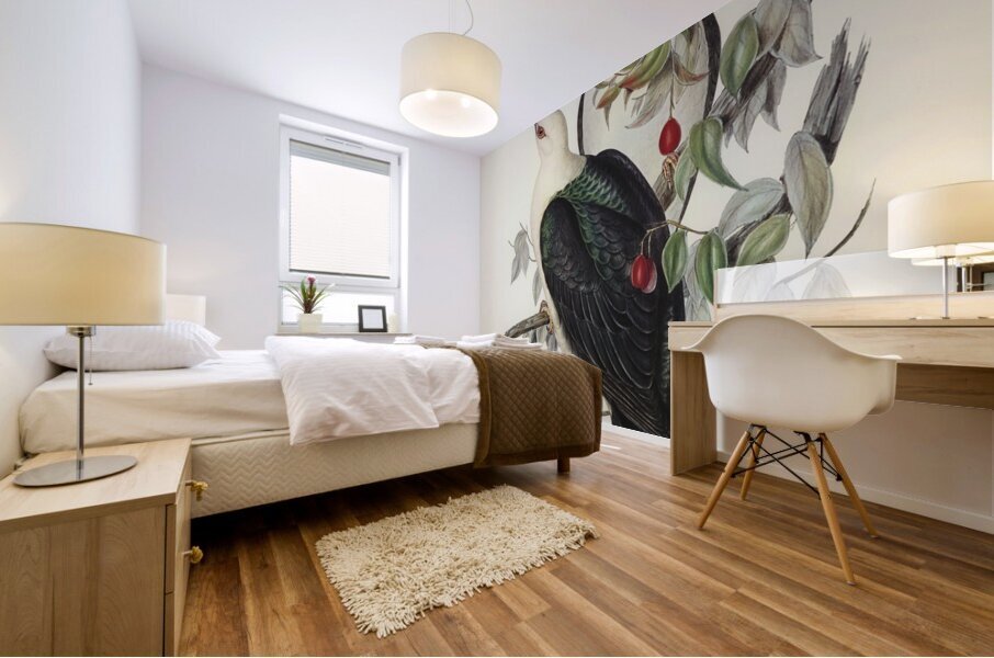 White-headed Fruit Pigeon Carpophaga leucomela illustrated by Elizabeth Gould 1804–1841 for John Gould’s 1804-1881 Birds of Australia  Mural print