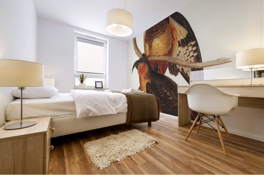 Philip Island Parrot Nestor productus illustrated by Elizabeth Gould 1804–1841 for John Gould’s 1804-1881 Birds of Australia  Mural print