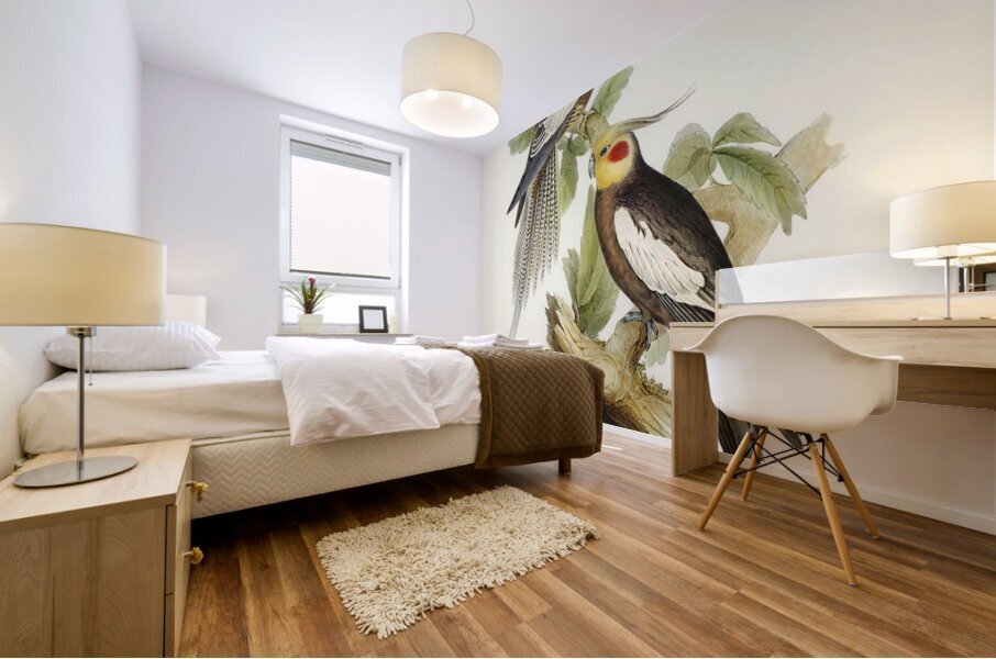 Cockatoo Parakeet Nymphicus Novae Hollandiae illustrated by Elizabeth Gould 1804–1841 for John Gould’s 1804-1881 Birds of Australia  Mural print