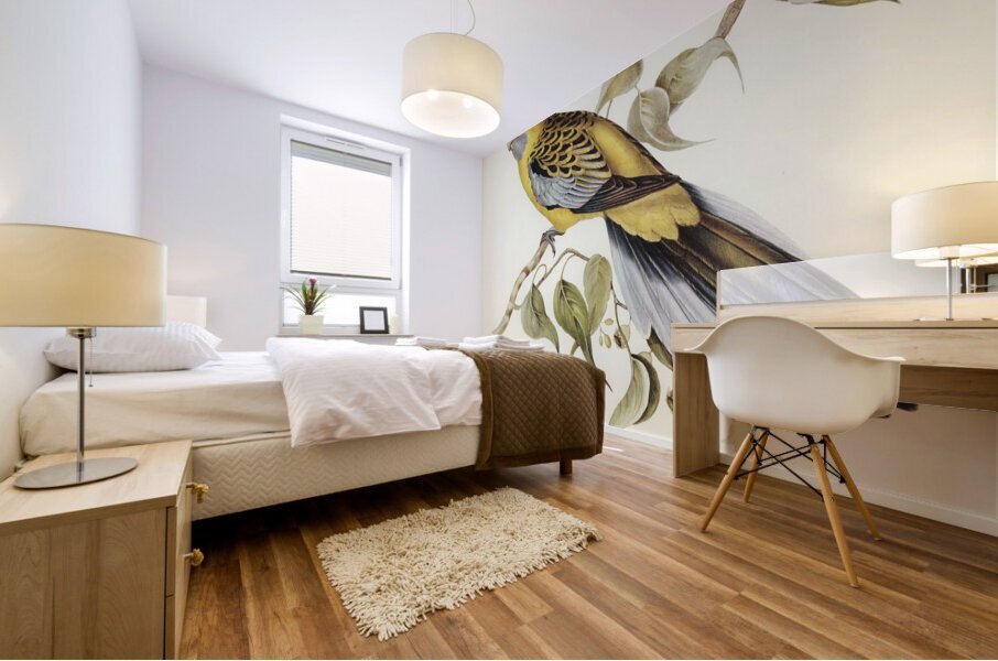 Yellow-rumped Parakeet Platycercus flaveolus illustrated by Elizabeth Gould 1804–1841 for John Gould’s 1804-1881 Birds of Australia  Impression murale