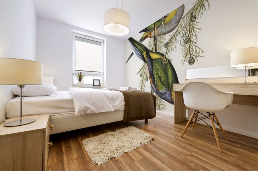 Red-capped Parakeet Platycercus pileatus illustrated by Elizabeth Gould 1804–1841 for John Gould’s 1804-1881 Birds of Australia  Mural print