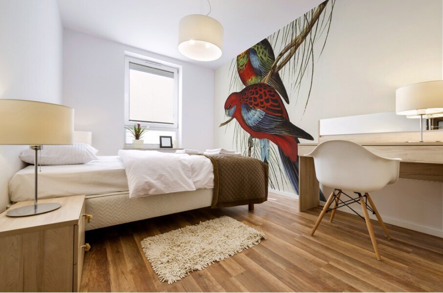 Pennants Parakeet Platycercus Pennantii illustrated by Elizabeth Gould 1804–1841 for John Gould’s 1804-1881 Birds of Australia  Mural print