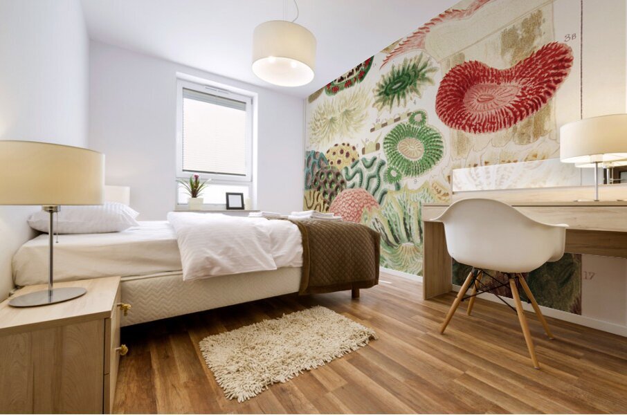 Great Barrier Reef Corals from The Great Barrier Reef of Australia 1893 by William Saville-Kent 1845-1908. Fig 1: Trachyphyllia amaraniusFig 2 : Caulastroea DistortaFig 3 : Mussa CorymbosaFig 4 : Mussa MultilobataFig 5 : PrionastroeaFig 6 : Favia Bo Mural print