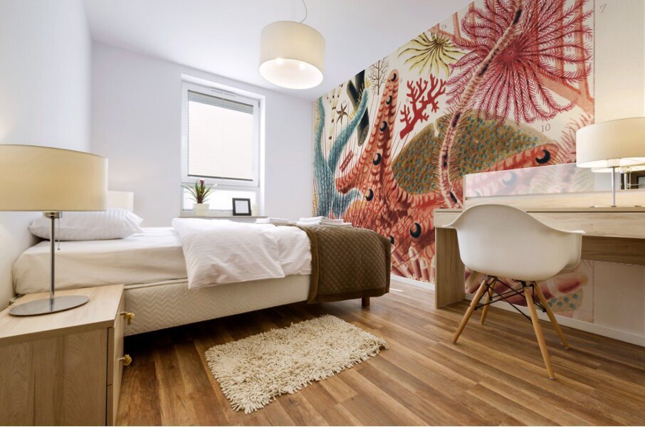 Great Barrier Reef Echinoderms from The Great Barrier Reef of Australia 1893 by William Saville-Kent 1845-1908. Fig 1: Isis HippurisFig 2: Queensland black coral Antipathes abiesFig 3: Ctenocella PectinataFig 4: Gorgonia AustraliensisFig 5: Melitodes Mural print