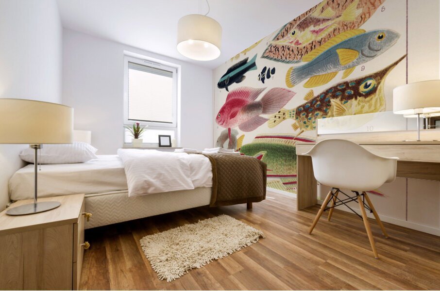 Great Barrier Reef Fishes from The Great Barrier Reef of Australia 1893 by William Saville-Kent 1845-1908. Fig 1: Fringe-finned Trevally Caranx ridiatus MacLeayFig 2: Dismond Trvally Caranx Gallus LinFig 3: Needle fish amphisile scuataFig 4: Blue band Mural print