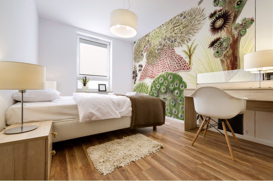 Great Barrier Reef Anemones from The Great Barrier Reef of Australia 1893 by William Saville-Kent 1845-1908. Fig 1 : Palythoa caesiaFig 2 : Rhodactis HowesiiFig 3 : Haterodactyla HemprichiiFig 4 : Acrozoanthus australioeFig 5 : phymanthus muscorumFi Mural print