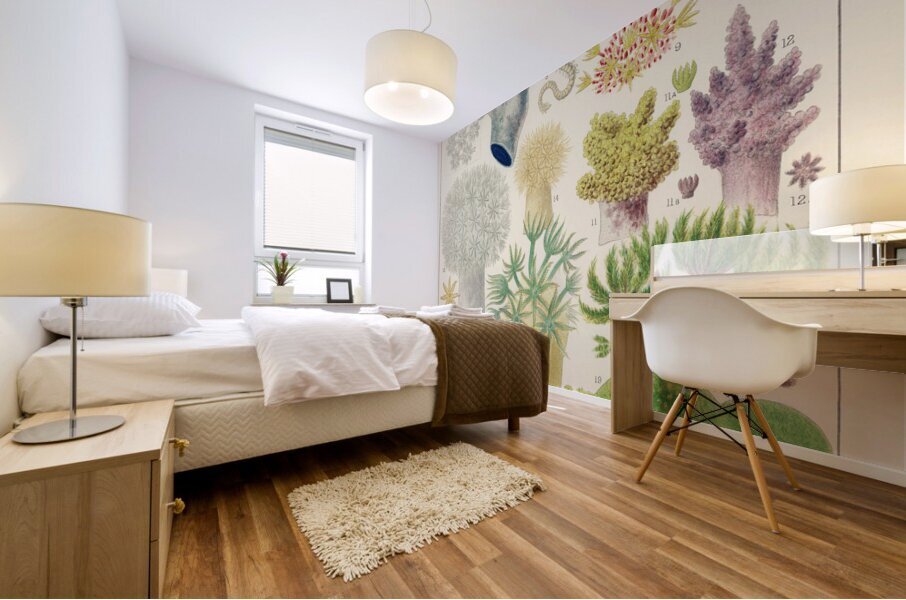 Barrier Reef Anemones from The Great Barrier Reef of Australia 1893 by William Saville-Kent 1845-1908.  Mural print