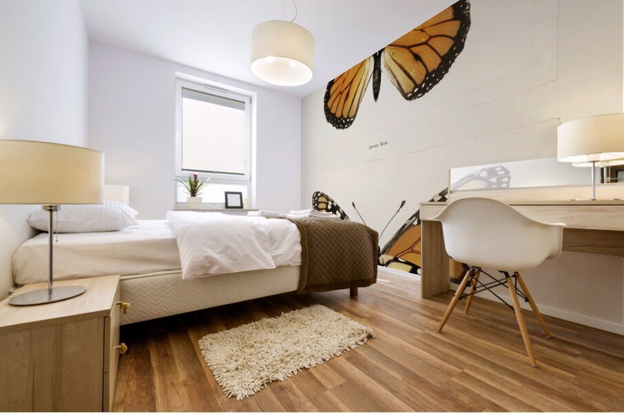 Monarch Butterfly Danais Archippus from Moths and butterflies of the United States 1900 by Sherman F. Denton 1856-1937.  Impression murale