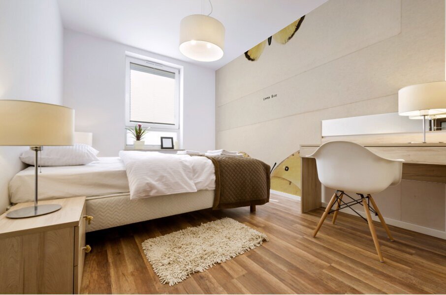 Southern Dogface Meganostoma Caesonia from Moths and butterflies of the United States 1900 by Sherman F. Denton 1856-1937.  Mural print