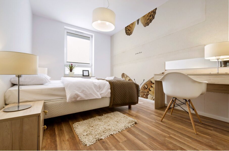 Variegated Fritillary Euptoieta Claudia from Moths and butterflies of the United States 1900 by Sherman F. Denton 1856-1937.  Mural print