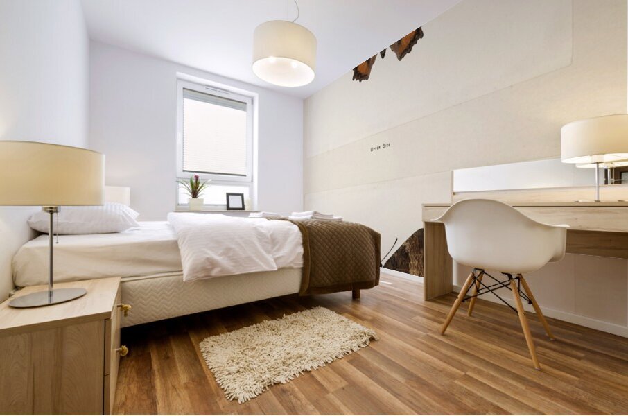 Fire-rim Tortoiseshell Vanessa Milberti from Moths and butterflies of the United States 1900 by Sherman F. Denton 1856-1937.  Mural print