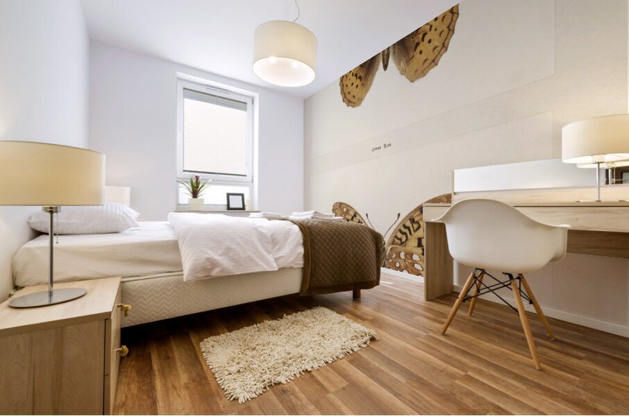 Great Spangled Fritillary Argynnis Cybele from Moths and butterflies of the United States 1900 by Sherman F. Denton 1856-1937.  Mural print