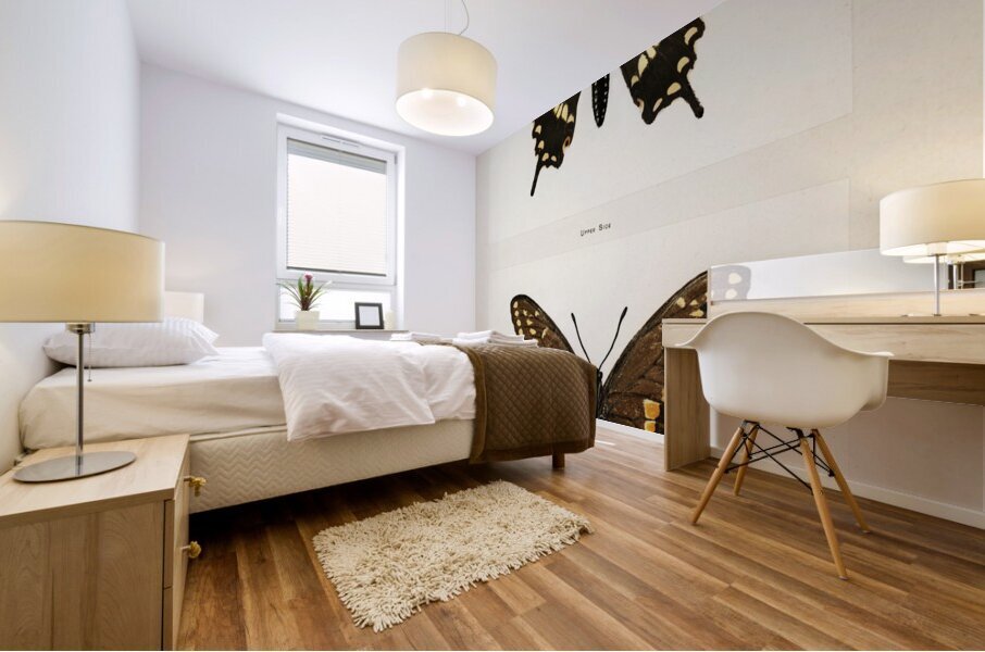 Black Swallowtail Papilio Asterias from Moths and butterflies of the United States 1900 by Sherman F. Denton 1856-1937.  Mural print