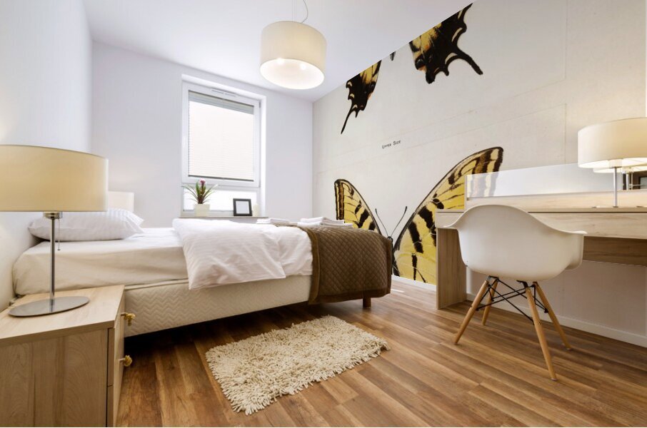 Eastern Tiger Swallowtail Papilio Turnus from Moths and butterflies of the United States 1900 by Sherman F. Denton 1856-1937.  Mural print